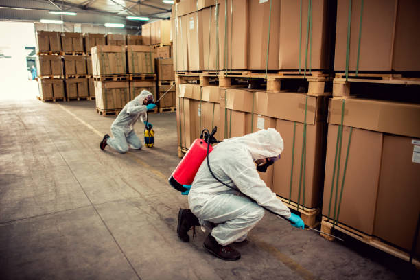 Best Emergency Pest Control  in Nitro, WV