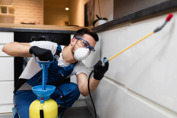 Best Mosquito Control Services  in Nitro, WV