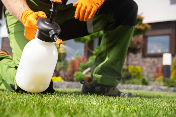 Flea Control Services in Nitro, WV