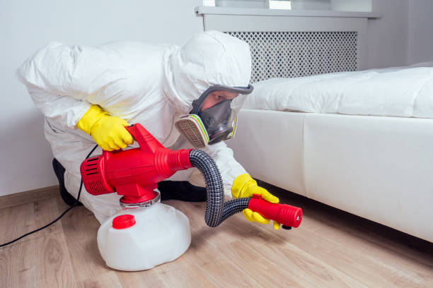 Trusted Nitro, WV Pest Control Experts