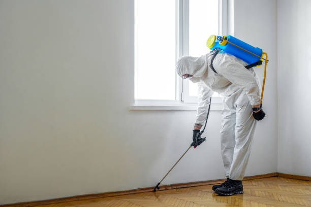 Best Exterminator Services  in Nitro, WV