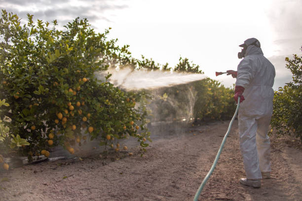 Best Best Pest Control Companies  in Nitro, WV