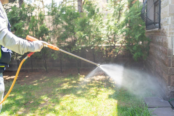 Best Ant Control Services  in Nitro, WV