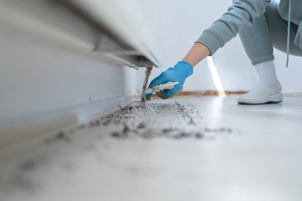 Best Affordable Exterminators  in Nitro, WV